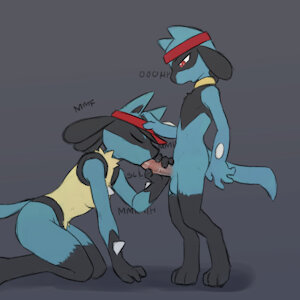 Helping Riolu