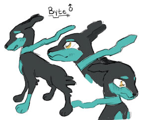 5643103_binkybnuuy_img_3027.jpg
