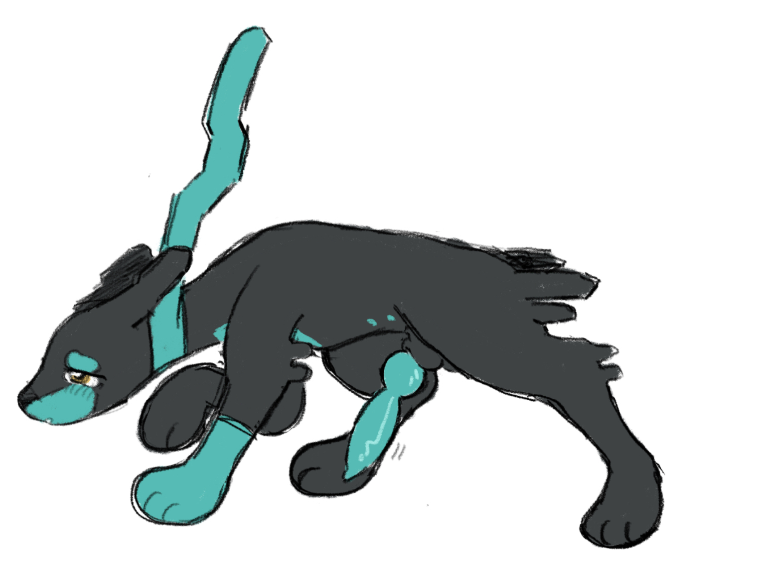5643115_binkybnuuy_img_3042.jpg
