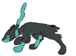5643115_binkybnuuy_img_3042.jpg
