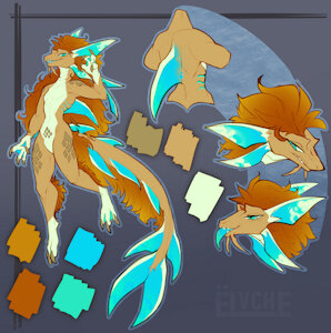 Mizu+Shark ref