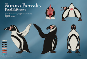 Aurora Borealis' Adult Feral Ref Sheet