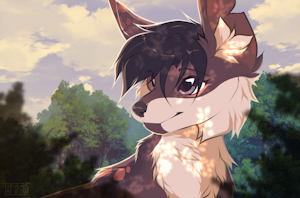 A Walk in the Forest