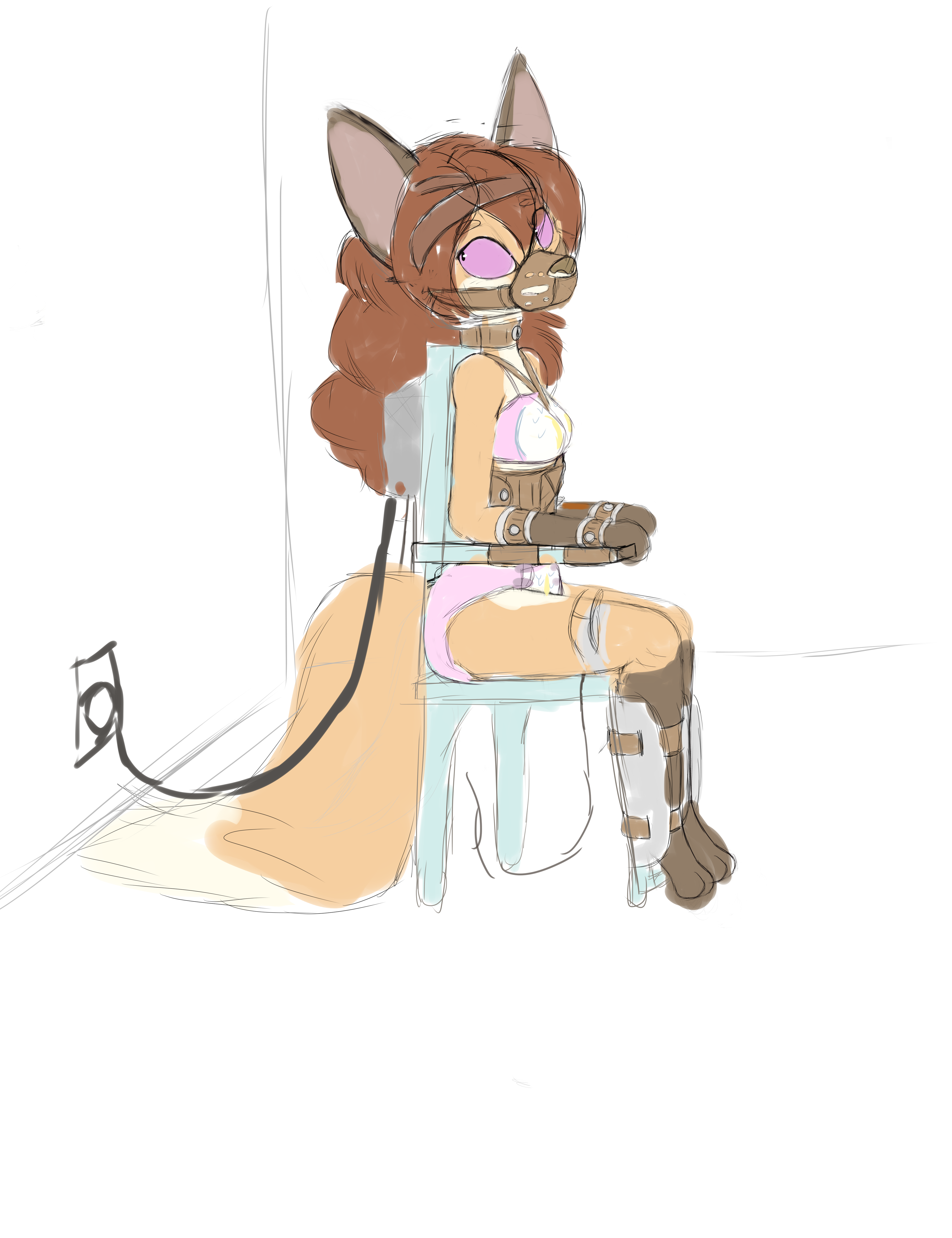 5649911_Smolfoks_rangerzappo.png