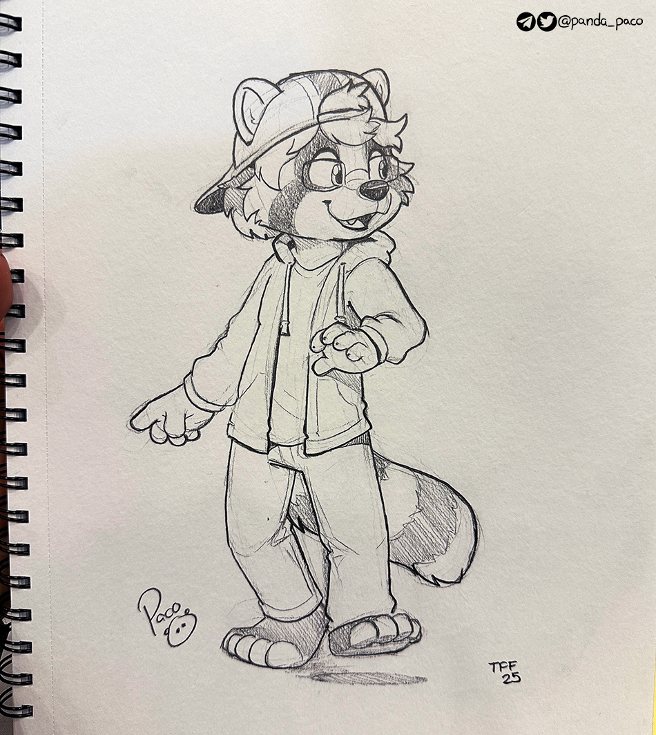 5651985_pandapaco_1156_rivetraccoon.jpg