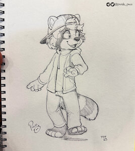 5651985_pandapaco_1156_rivetraccoon.jpg