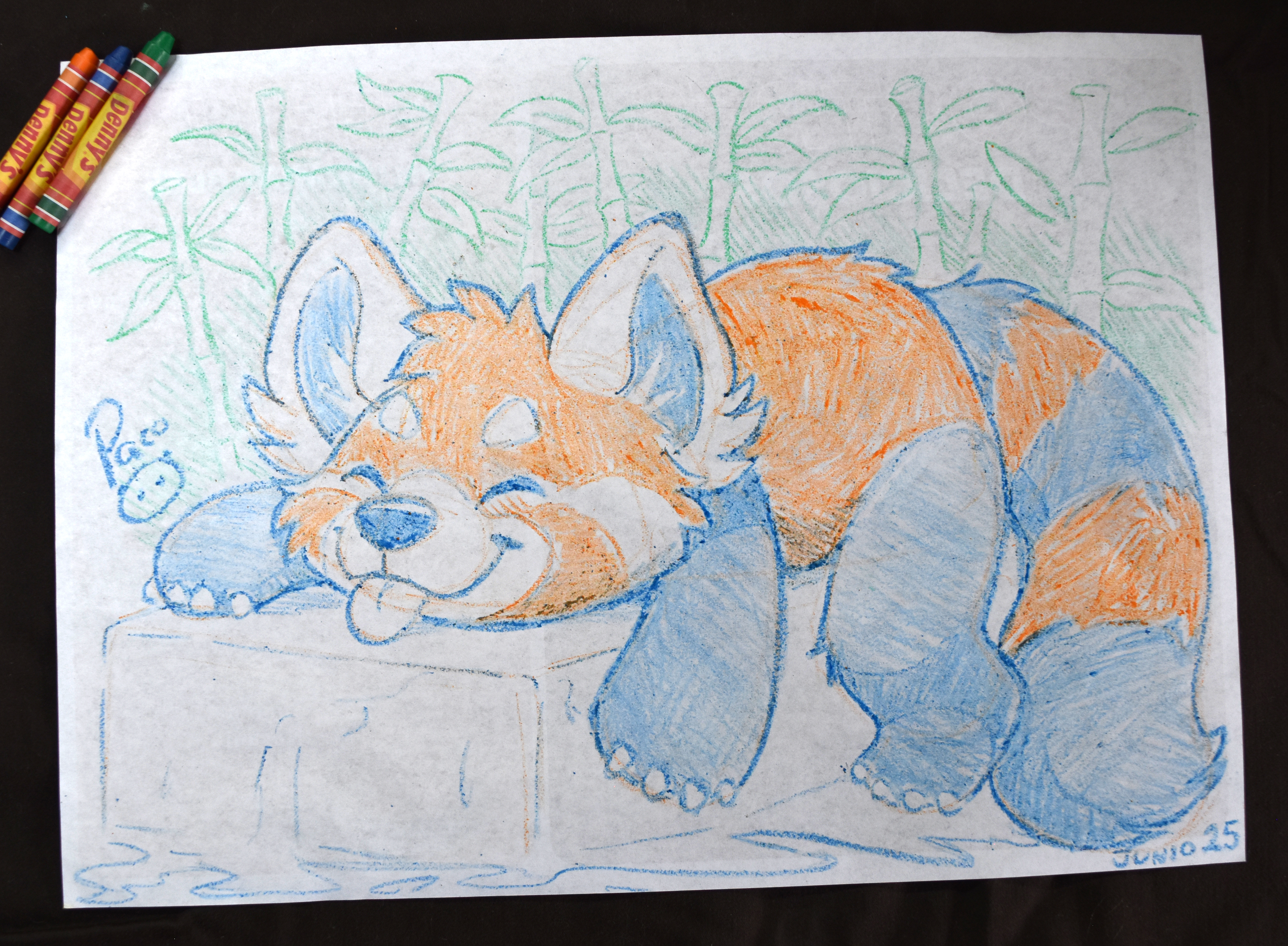 5651997_pandapaco_1167wah.jpg