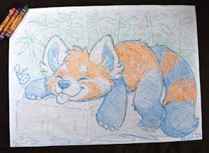 5651997_pandapaco_1167wah.jpg