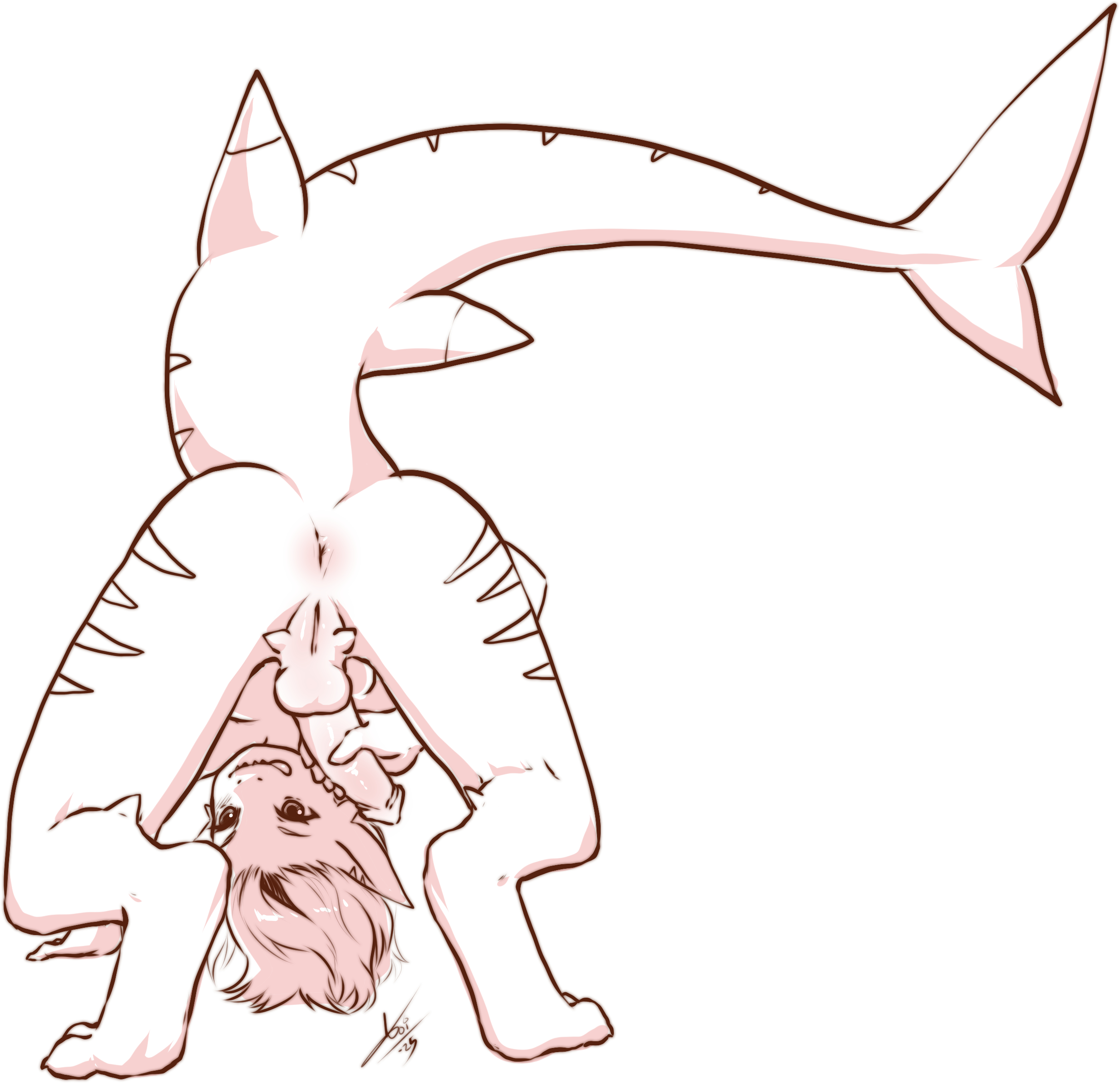 5654492_Aogami_2c.jpg