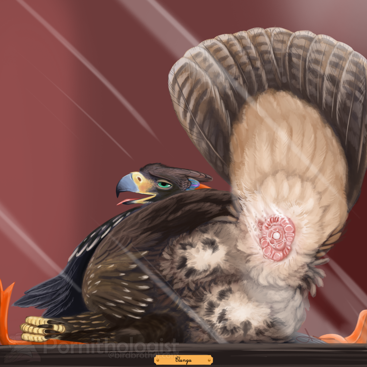 5655249_Pornithologist_1819-peeking_egg_manual_-1280.png