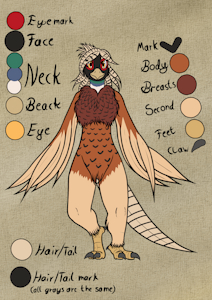 Adoption Pheasant