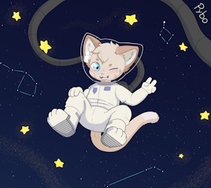 The space!°