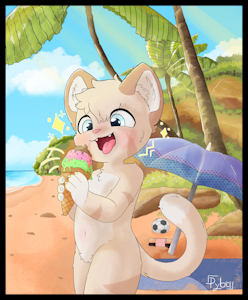 Boyo in the beach