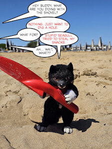 No one messes with Little Balto
