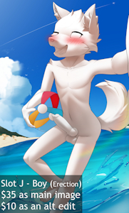 5662439_SteelCat_j.png