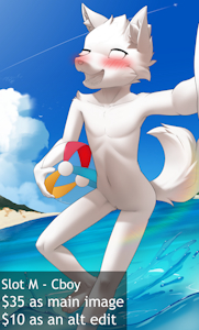 5662461_SteelCat_m.png