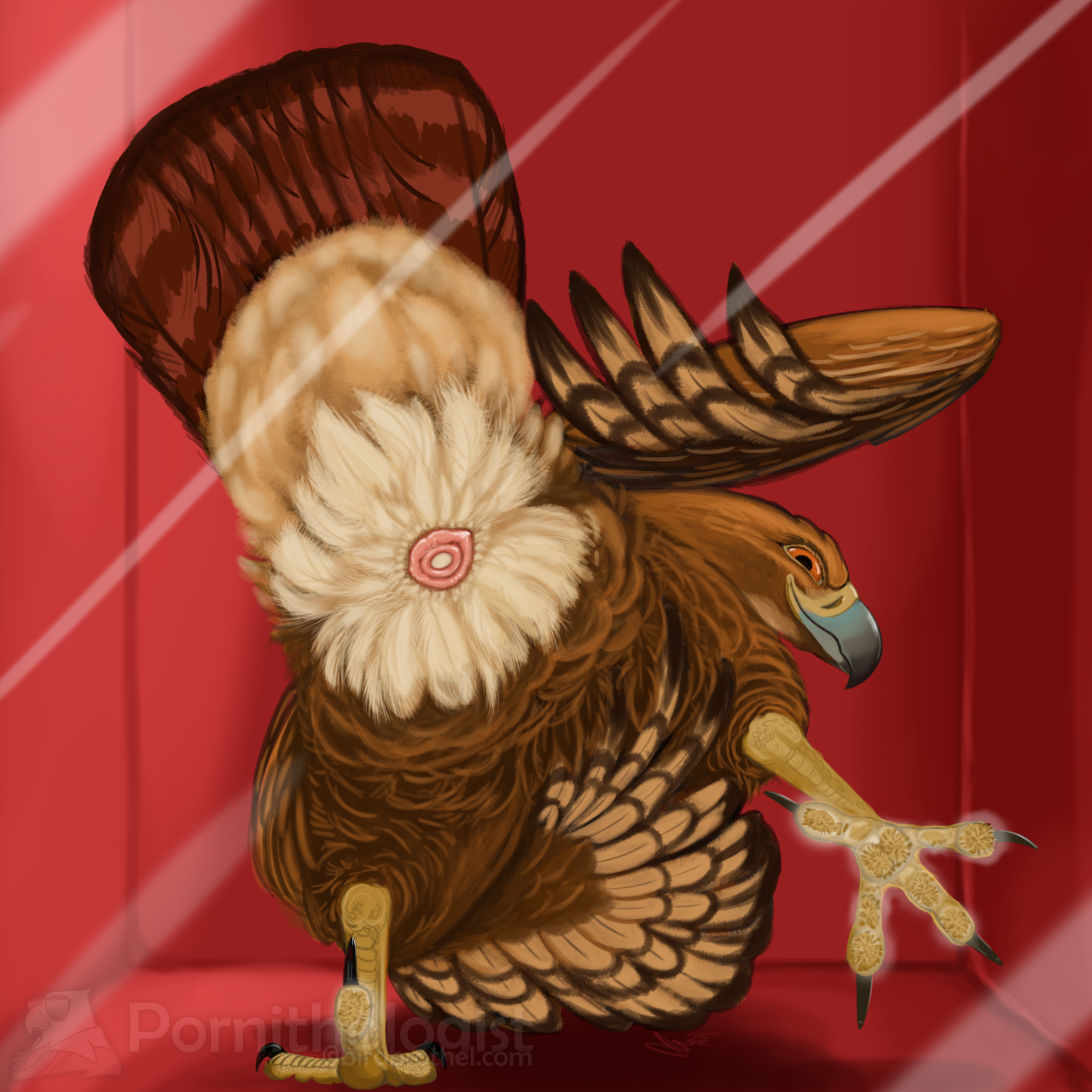 5665301_Pornithologist_1823-dry_eggy_kiss_manual_-1280.png