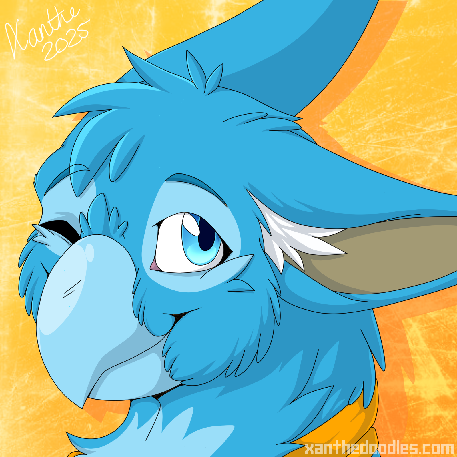 5671184_Xanthe_14_af_2_stokori.png
