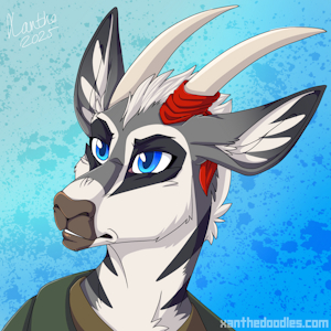 [AF25] Scifer (Zephyr)