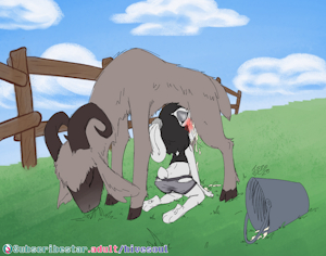 Comm - Z's Weekend