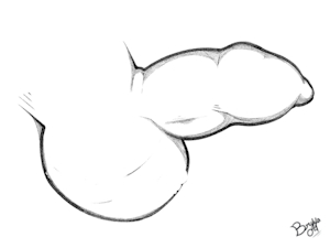 5674073_Bryya04_line_pratice_li.png