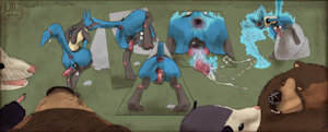 Kinky Adoption Color