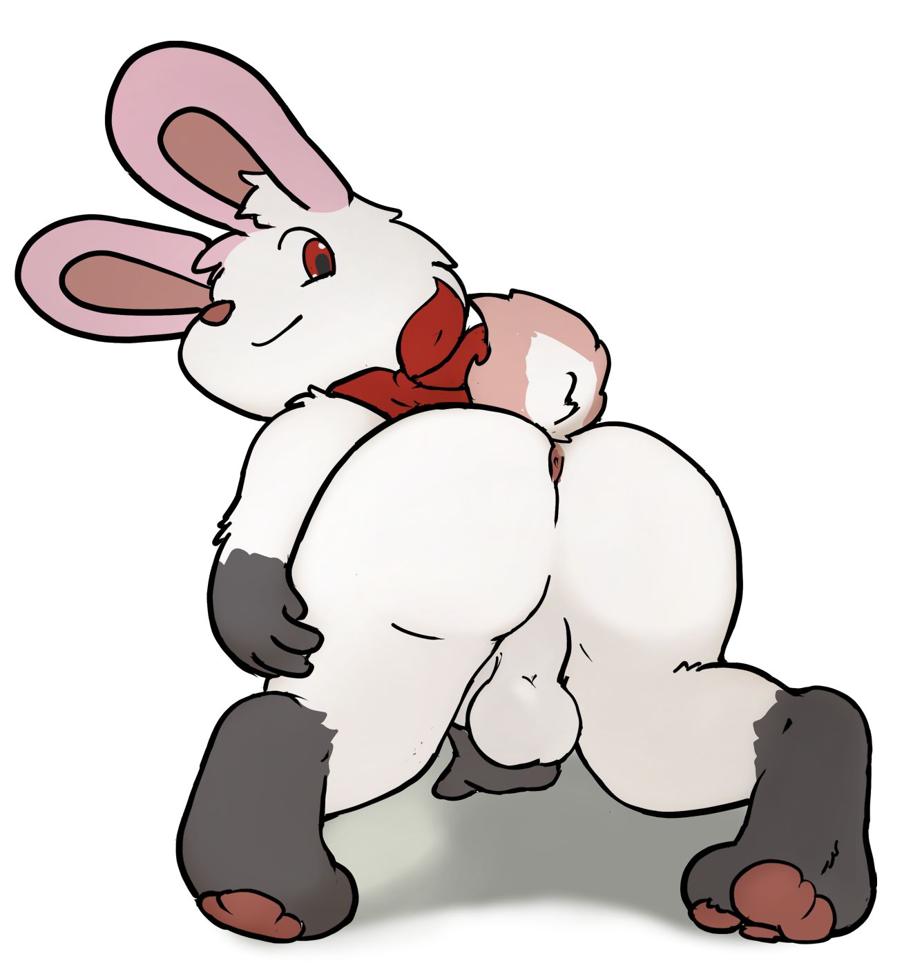 5680976_Hoya82_250816-hoya_butt.jpg