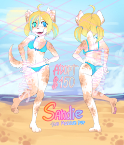 5685452_Shibanni_adopt6-2.png