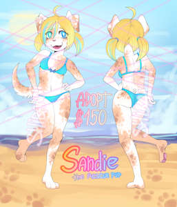 5686003_Shibanni_adopt6-2.png