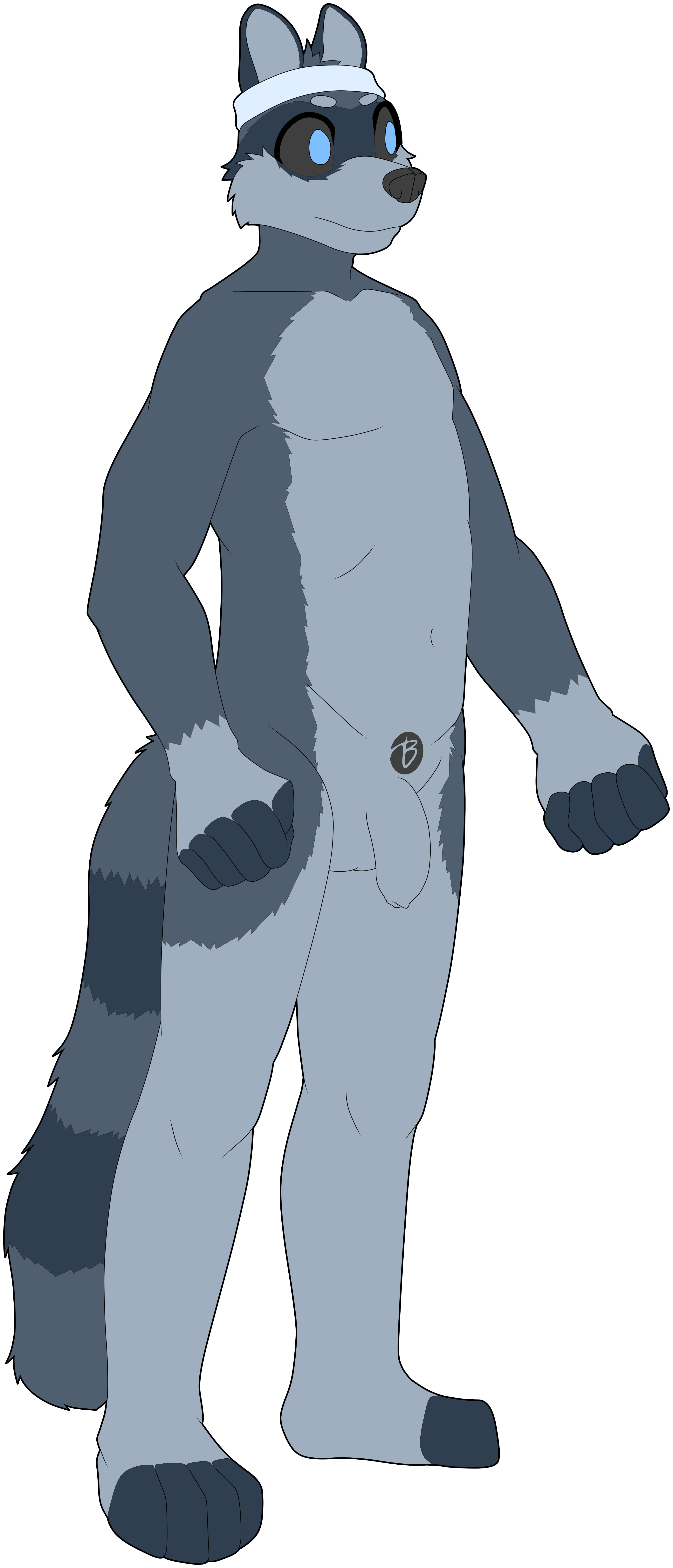 5686267_NaughtyBox_morebffamily_raccon_b.png