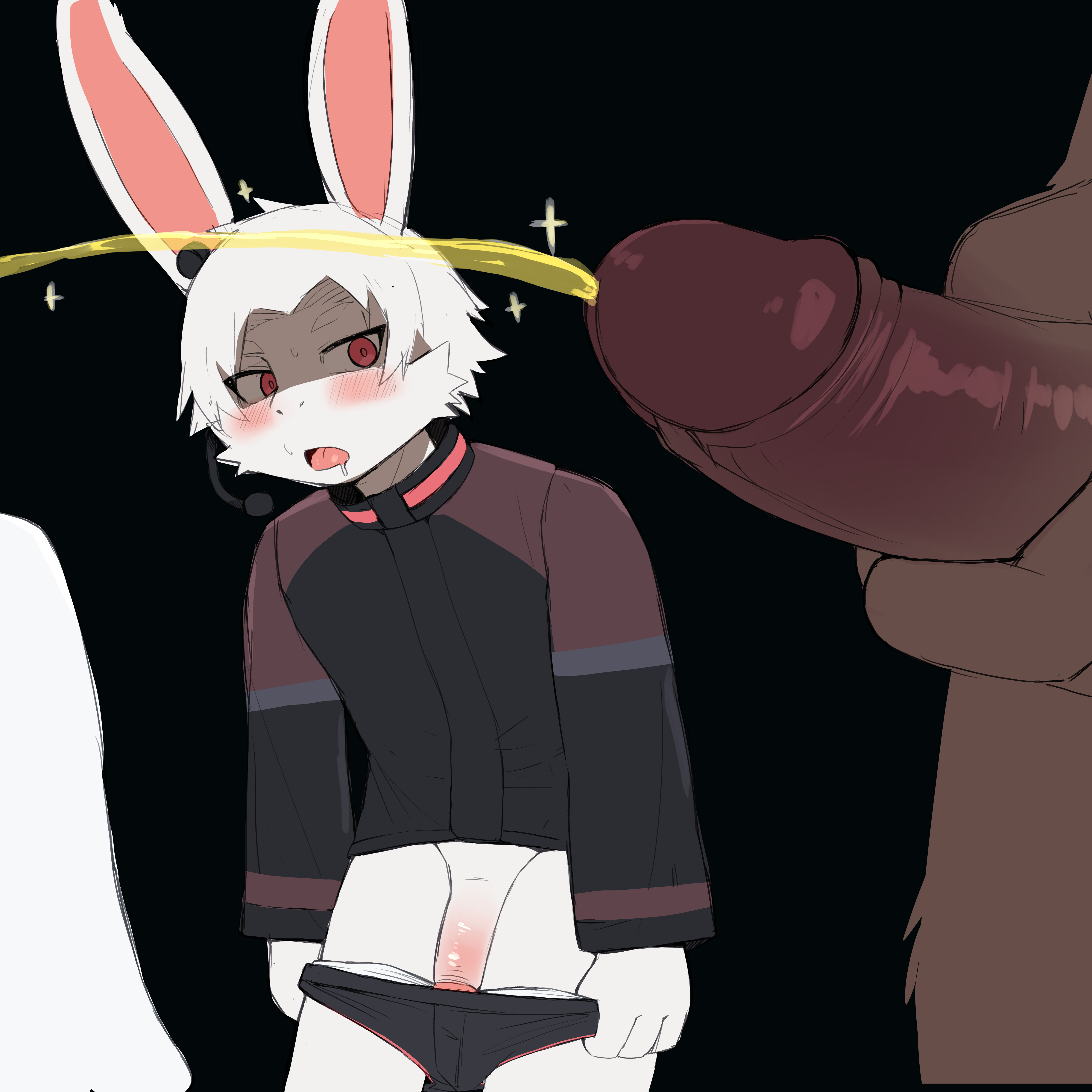 5687334_ROO310_250810.png