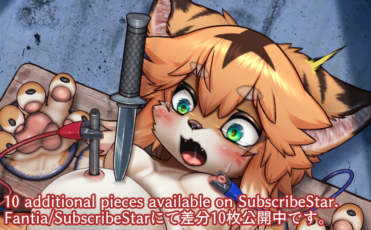 5688447_Wolfeed_250812mia-baloon-cm.png