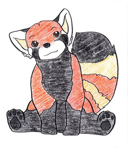 Coloring Book Style