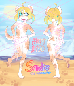 Sandie adopt [reminder]