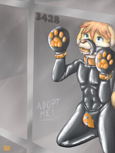 puppy kennel - Number 3428