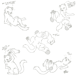 Sassiest Stoat [C]