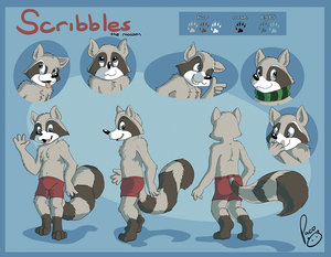 Scribbles the raccoon