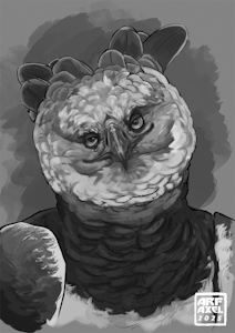 You like kissing birds, don't you? [By Arf Axel]