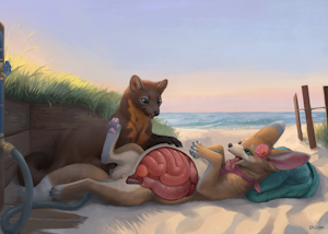 [c] Beach Balloon (internal) - 1/2