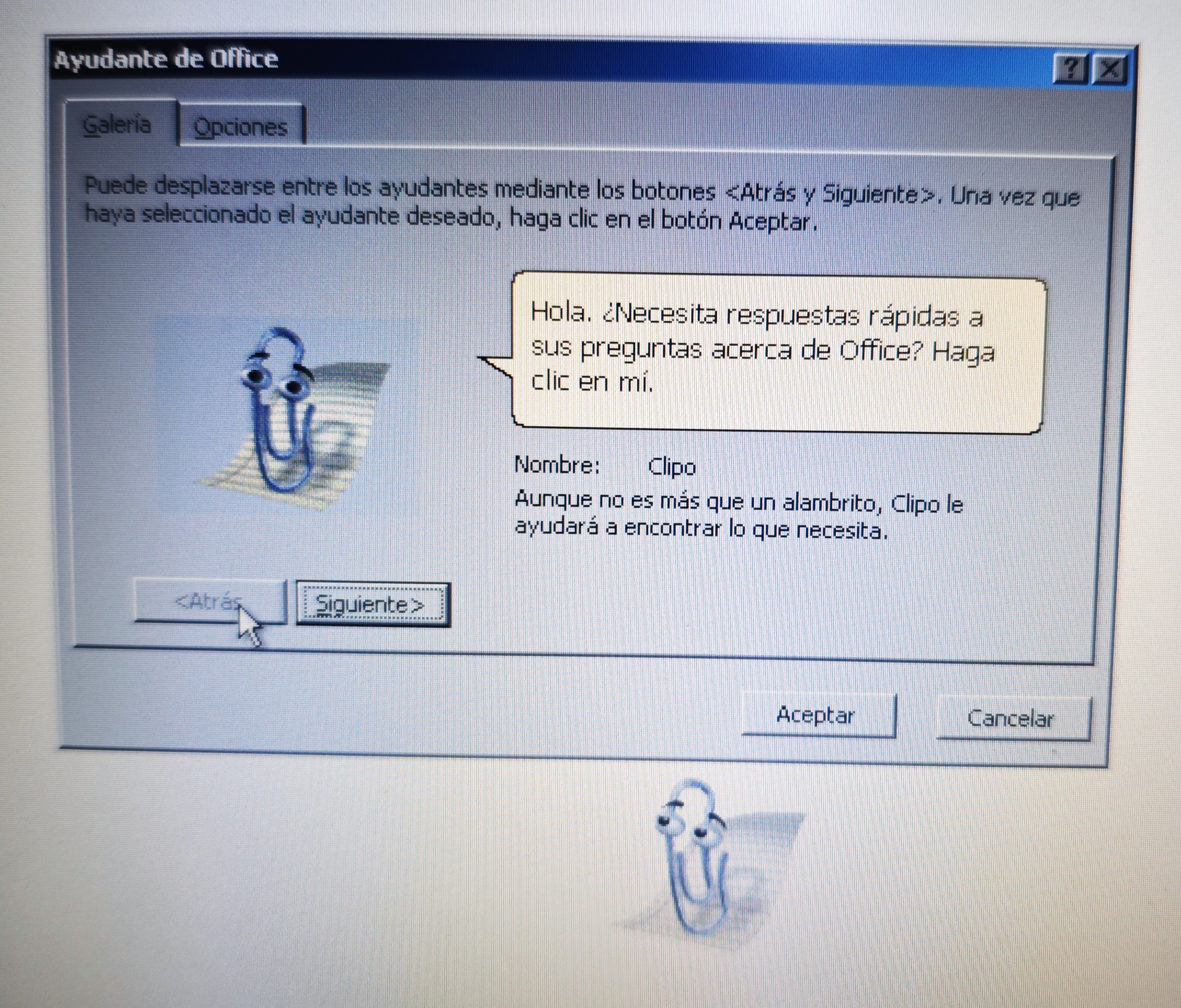 5703267_ConejoBlanco_img_20250902_225211.jpg