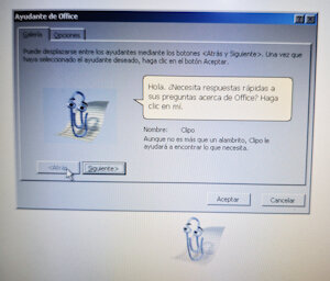 5703267_ConejoBlanco_img_20250902_225211.jpg