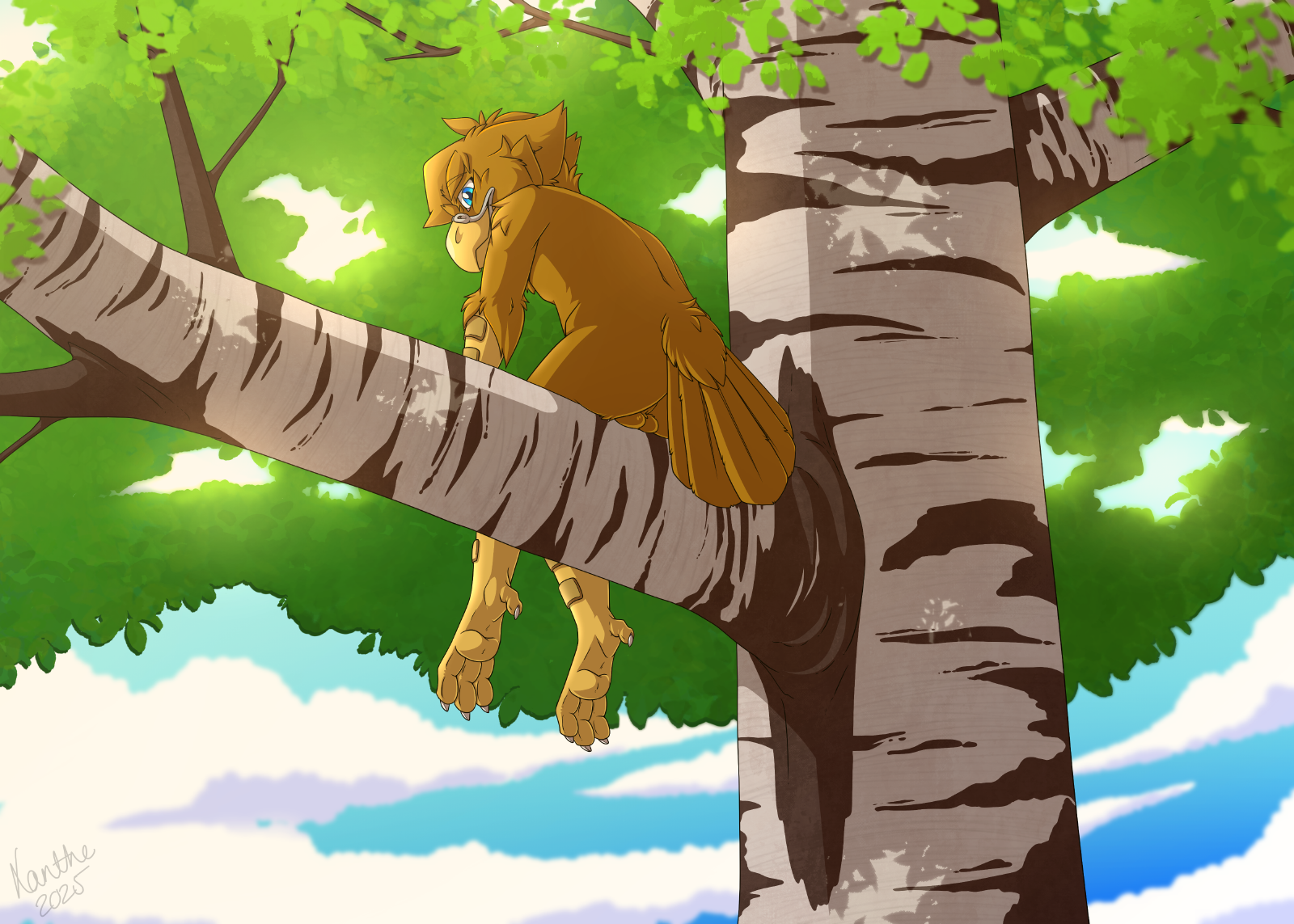 5703825_Xanthe_25_a_sunny_perch.png
