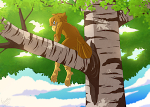 [C] A Sunny Perch