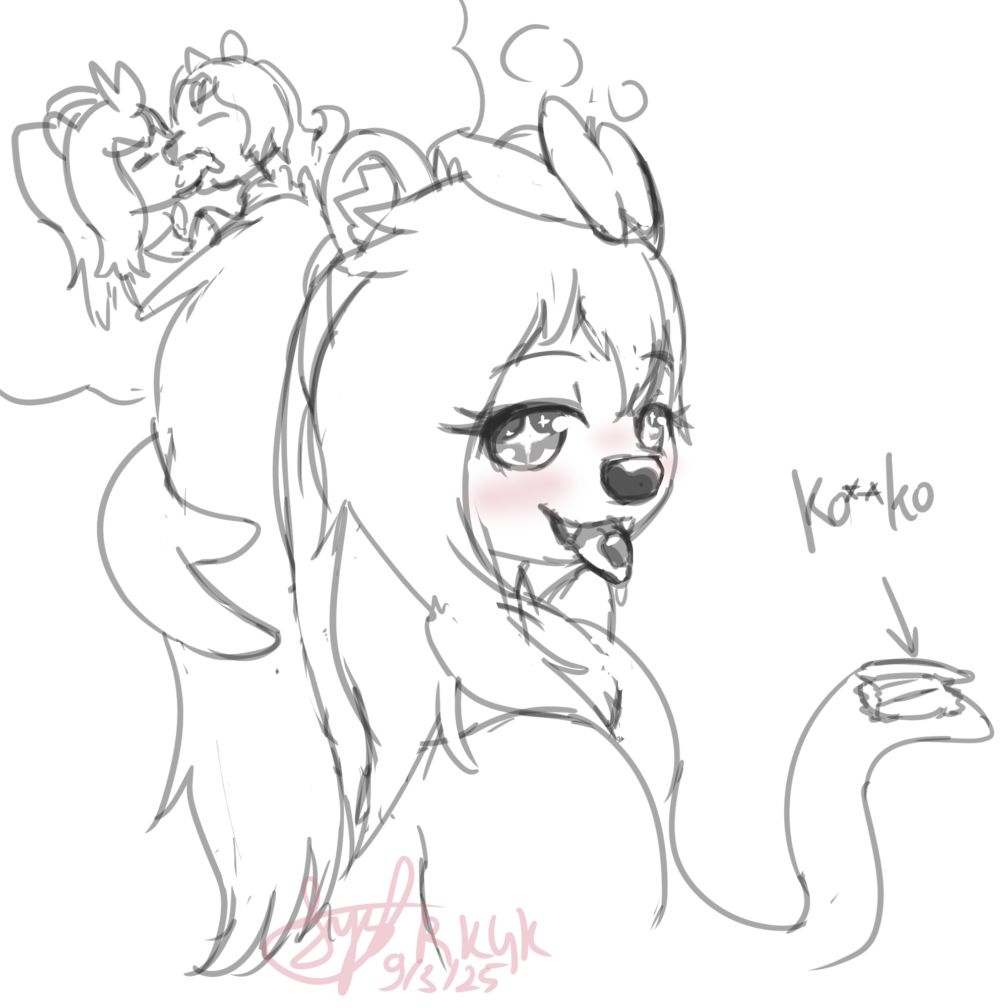 5704842_Syst3264_kopiko_2.png