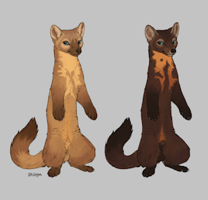 Marten concept