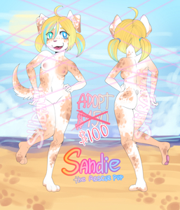 Sandie adopt [reminder]