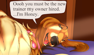 SUBSTAR ADVERT: Honey's New Trainer