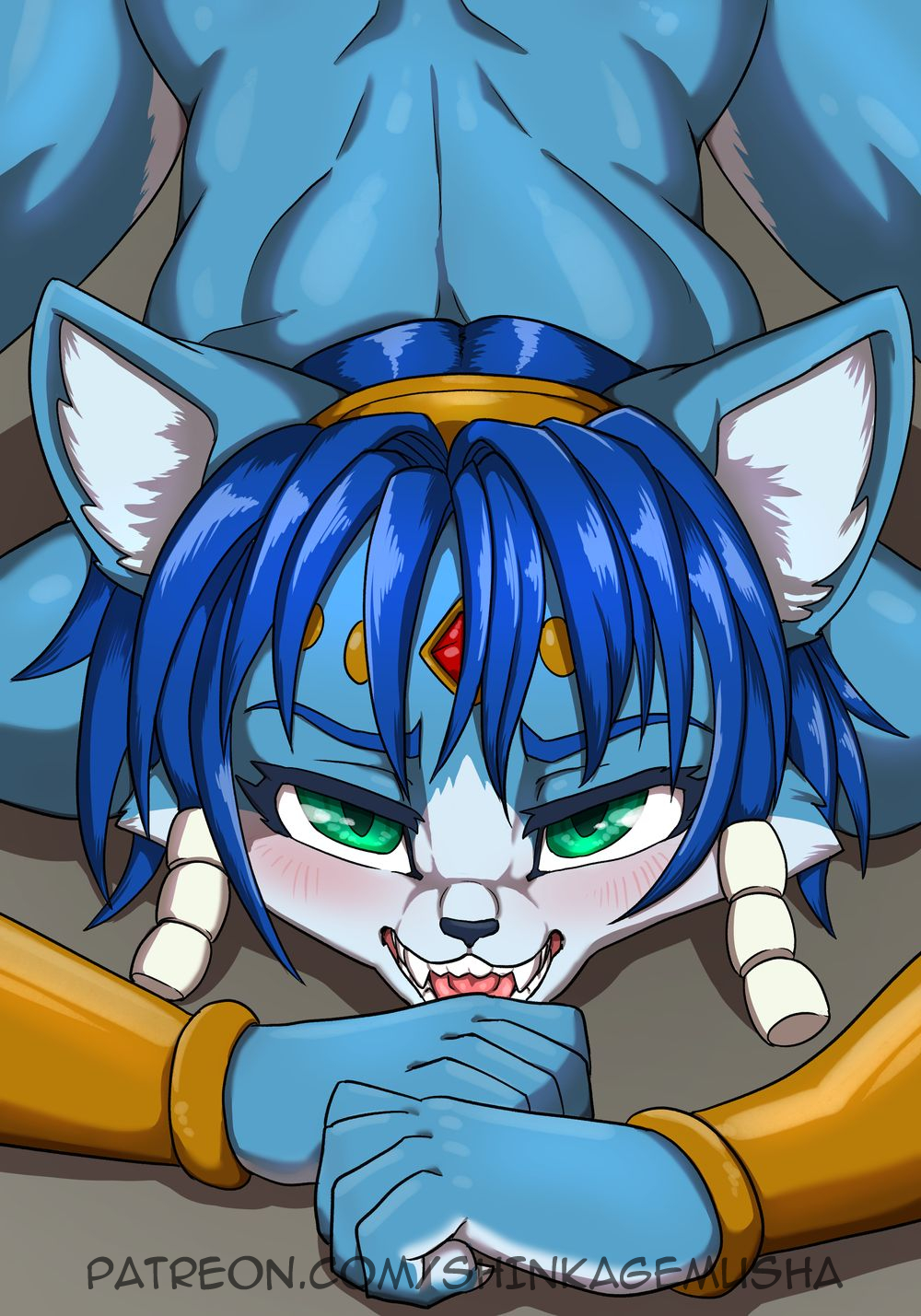 5706915_Kagemusha_z.jpg