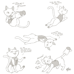 Different Relaxation Methods [C]