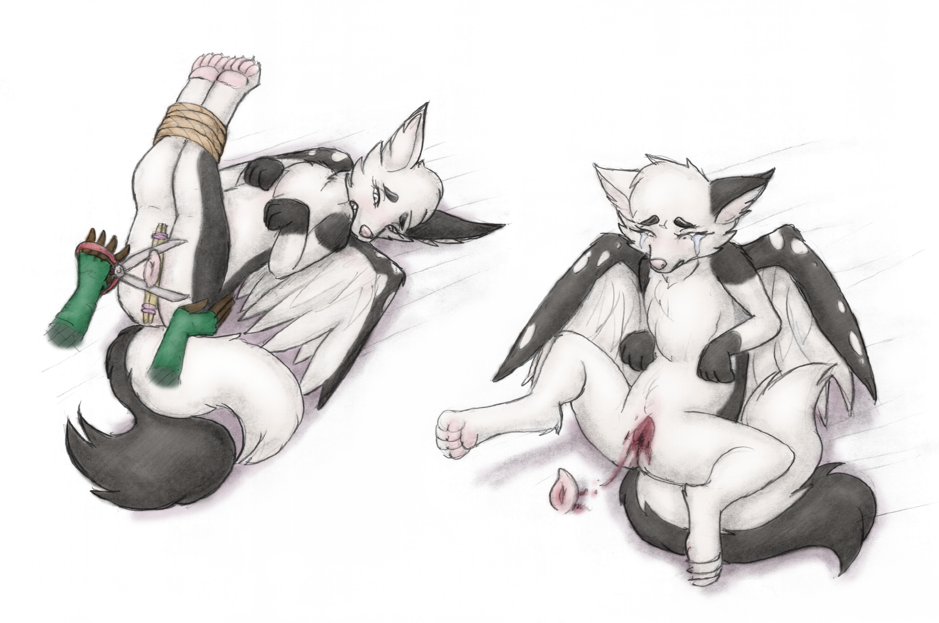 5719839_JinxMcKenzie_5041826_meowmere_-_flocke_wird_beschnitten_femcirc_chopsticks_scissors_3_feral_wingedfc.png